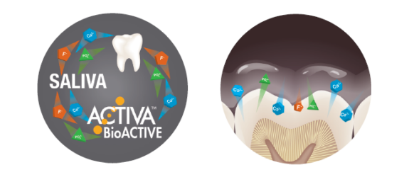 As 5 principais razões pelas quais ACTIVA™ BioACTIVE é bom para ti