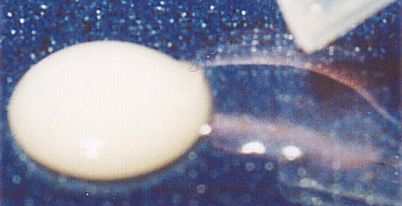 HydroTest1-2