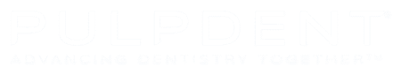pulpdent-logo-2024-white-gradient